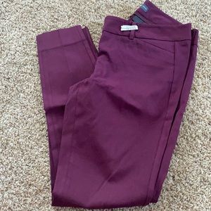 The Limited Ideal Stretch ankle pants